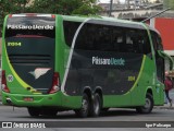 Pássaro Verde 2014 na cidade de Belo Horizonte, Minas Gerais, Brasil, por Igor Policarpo. Número da foto: #:id.