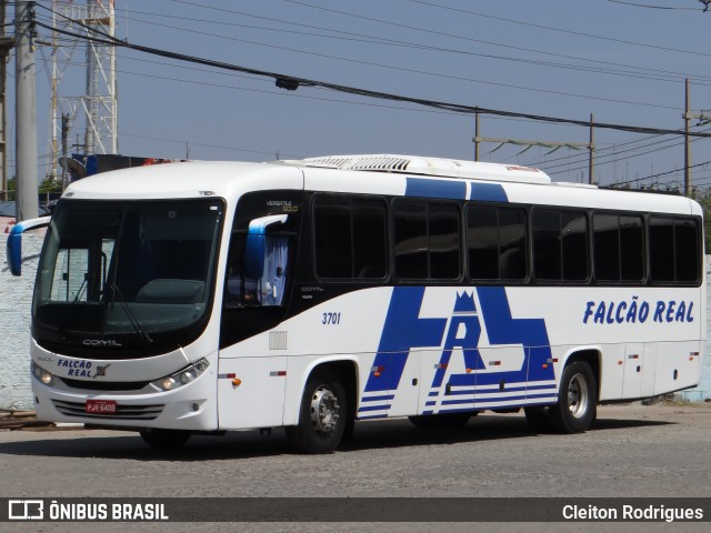 Falcão Real 3701 na cidade de Juazeiro, Bahia, Brasil, por Cleiton Rodrigues. Número da foto: #7261751.