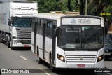 Ita Transportes 4203.6 na cidade de Goiânia, Goiás, Brasil, por Carlos Júnior. Número da foto: #7261041.