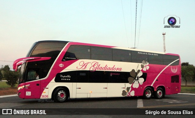 A Gladiadora Turismo 3636 na cidade de Holambra, São Paulo, Brasil, por Sérgio de Sousa Elias. Número da foto: #7263278.