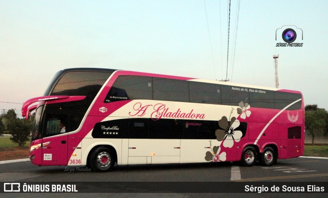 A Gladiadora Turismo 3636 na cidade de Holambra, São Paulo, Brasil, por Sérgio de Sousa Elias. ID da foto: 7263278.