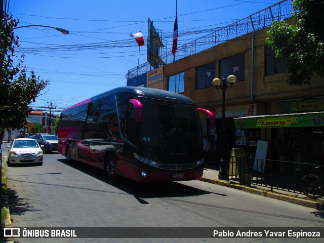 Pullman Contimar 40 na cidade de Santa Cruz, Colchagua, Libertador General Bernardo O'Higgins, Chile, por Pablo Andres Yavar Espinoza. Número da foto: #7263064.