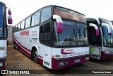 Rosinha Turismo 8000 na cidade de Paraguaçu Paulista, São Paulo, Brasil, por Francisco Ivano. Número da foto: #7264824.