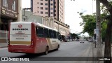 Rouxinol 580 na cidade de Belo Horizonte, Minas Gerais, Brasil, por Luiz Silva. Número da foto: #7263269.