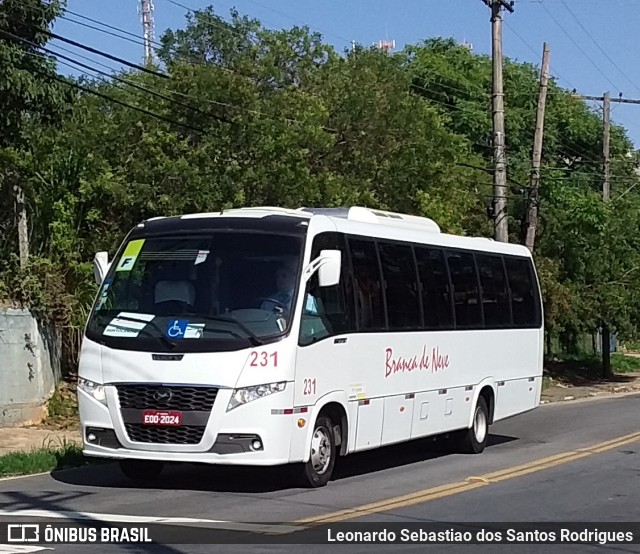 Branca de Neve Turismo 231 na cidade de Campinas, São Paulo, Brasil, por Leonardo Sebastiao dos Santos Rodrigues. ID da foto: 7267037.