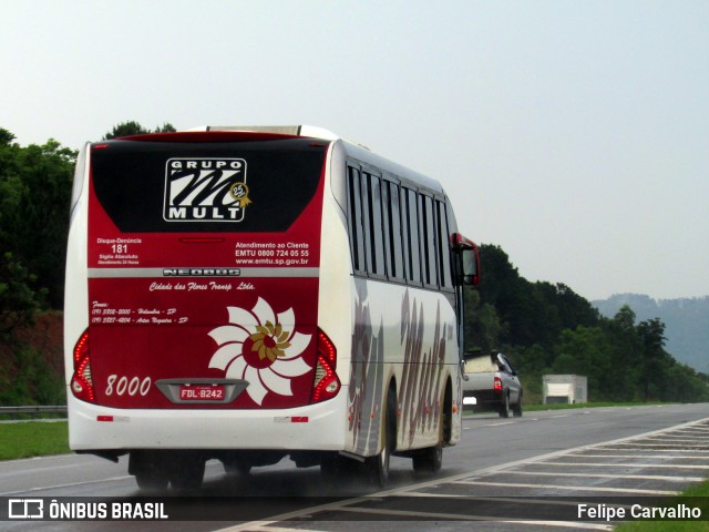 Mult Fretamento e Turismo 8000 na cidade de Atibaia, São Paulo, Brasil, por Felipe Carvalho. Número da foto: #7265129.