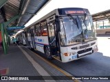 Viação Tindiquera 174 na cidade de Araucária, Paraná, Brasil, por Mayron Cesar  Colaço Teixeira. Número da foto: #7267629.