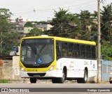 Viação Pioneira 228460 na cidade de Conselheiro Lafaiete, Minas Gerais, Brasil, por Rodrigo  Aparecido. Número da foto: #7267345.