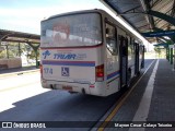 Viação Tindiquera 174 na cidade de Araucária, Paraná, Brasil, por Mayron Cesar  Colaço Teixeira. Número da foto: #7267631.