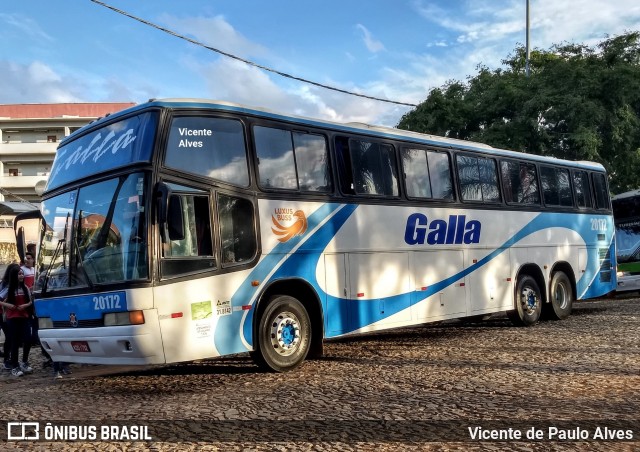 Galla Turismo 20172 na cidade de Belo Horizonte, Minas Gerais, Brasil, por Vicente de Paulo Alves. ID da foto: 7272268.