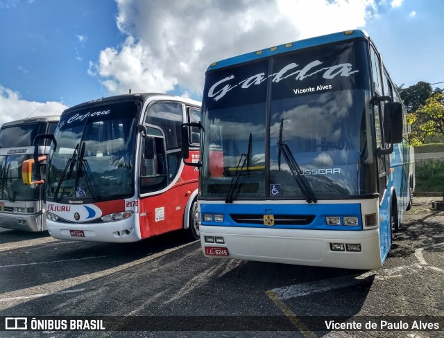 Galla Turismo 20170 na cidade de Belo Horizonte, Minas Gerais, Brasil, por Vicente de Paulo Alves. Número da foto: #7273614.