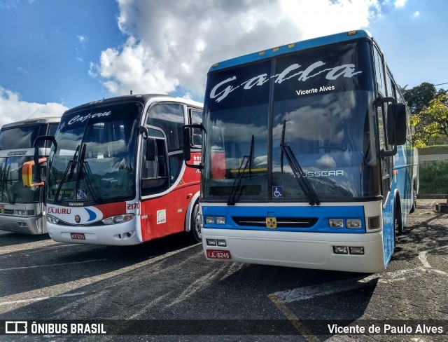 Galla Turismo 20170 na cidade de Belo Horizonte, Minas Gerais, Brasil, por Vicente de Paulo Alves. ID da foto: 7273614.