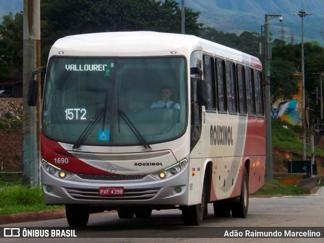 Rouxinol 1690 na cidade de Belo Horizonte, Minas Gerais, Brasil, por Adão Raimundo Marcelino. ID da foto: 7276180.