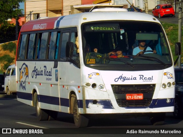 Ônibus Particulares 0290 na cidade de Belo Horizonte, Minas Gerais, Brasil, por Adão Raimundo Marcelino. ID da foto: 7276274.