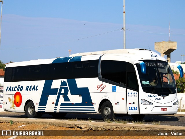 Falcão Real 23150 na cidade de Juazeiro, Bahia, Brasil, por João Victor. Número da foto: #7276454.