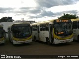 Viação Pioneira 221431 na cidade de Paranoá, Distrito Federal, Brasil, por Douglas Célio Brandao. Número da foto: #7275091.