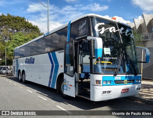 Galla Turismo 2019 na cidade de Belo Horizonte, Minas Gerais, Brasil, por Vicente de Paulo Alves. ID da foto: 7278189.