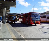 Empresa Metropolitana 503 na cidade de Recife, Pernambuco, Brasil, por Alex Vinícius. Número da foto: #:id.
