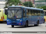 Independência > Trans Oeste Transportes 10553 na cidade de Belo Horizonte, Minas Gerais, Brasil, por Matheus Rocha. Número da foto: #7282412.