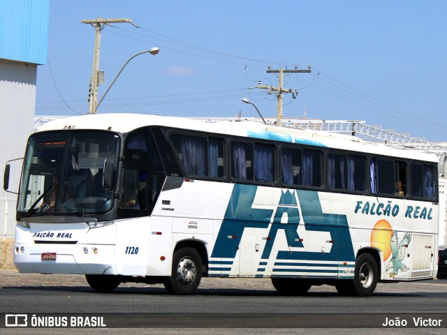 Falcão Real 1120 na cidade de Juazeiro, Bahia, Brasil, por João Victor. ID da foto: 7203527.