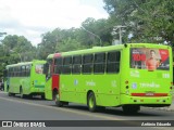 Transporte Coletivo Cidade Verde 02186 na cidade de Teresina, Piauí, Brasil, por Eduardo Silva Araújo. Número da foto: #:id.
