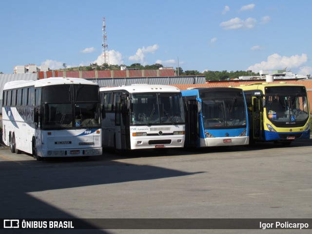 TransAraújo Turismo 980 na cidade de Divinópolis, Minas Gerais, Brasil, por Igor Policarpo. Número da foto: #7206970.