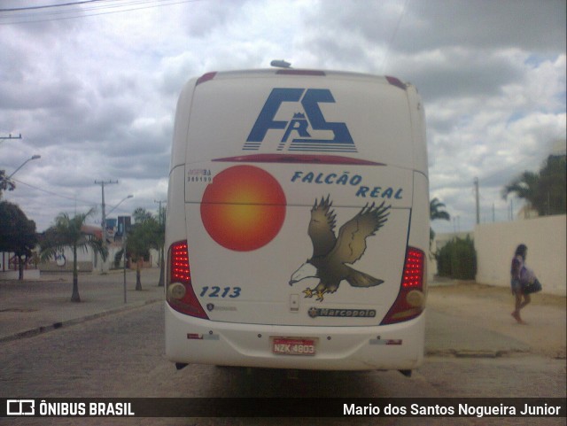 Falcão Real 1213 na cidade de Piritiba, Bahia, Brasil, por Mario dos Santos Nogueira Junior. ID da foto: 7204334.