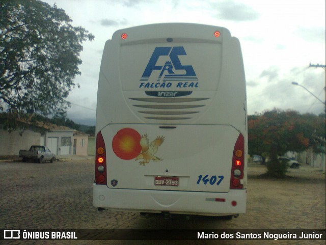 Falcão Real 1407 na cidade de Piritiba, Bahia, Brasil, por Mario dos Santos Nogueira Junior. Número da foto: #7203865.