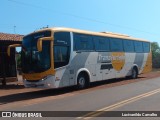 Empresa Transfurtado 09 na cidade de Sigefredo Pacheco, Piauí, Brasil, por Lucivanildo Carvalho. Número da foto: #7203987.