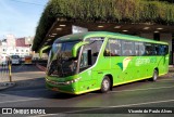 Pássaro Verde 15130 na cidade de Belo Horizonte, Minas Gerais, Brasil, por Vicente de Paulo Alves. Número da foto: #7204585.