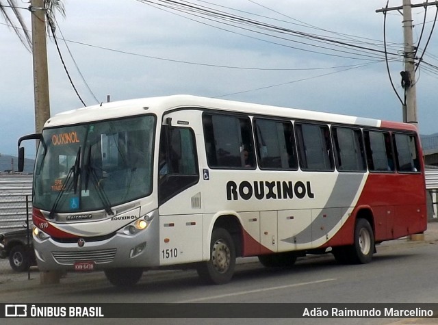 Rouxinol 1510 na cidade de Belo Horizonte, Minas Gerais, Brasil, por Adão Raimundo Marcelino. Número da foto: #7210340.