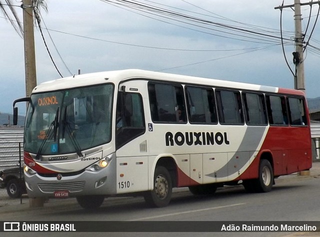 Rouxinol 1510 na cidade de Belo Horizonte, Minas Gerais, Brasil, por Adão Raimundo Marcelino. ID da foto: 7210340.