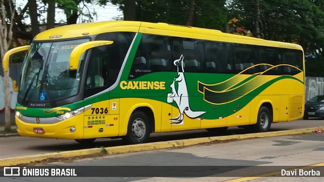 Expresso Caxiense 7036 na cidade de Porto Alegre, Rio Grande do Sul, Brasil, por Davi Borba. Número da foto: #7210746.