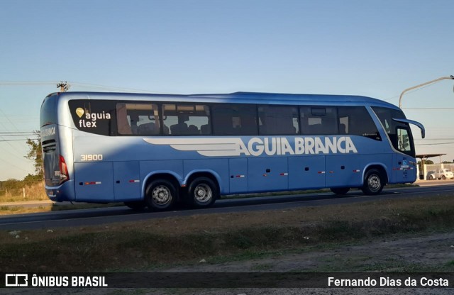 Viação Águia Branca 31900 na cidade de Linhares, Espírito Santo, Brasil, por Fernando Dias da Costa. Número da foto: #7208679.