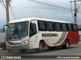 Rouxinol 1510 na cidade de Belo Horizonte, Minas Gerais, Brasil, por Adão Raimundo Marcelino. ID da foto: :id.