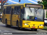 Araucária Transportes Coletivos 19801 na cidade de Curitiba, Paraná, Brasil, por Joel de Araújo Filho. Número da foto: #:id.