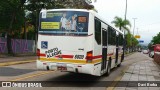 SOPAL - Sociedade de Ônibus Porto-Alegrense Ltda. 6600 na cidade de Porto Alegre, Rio Grande do Sul, Brasil, por Davi Borba. Número da foto: #7210759.