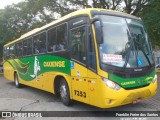 Expresso Caxiense 7353 na cidade de São Paulo, São Paulo, Brasil, por Franklin Freire dos Santos. Número da foto: #:id.
