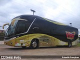 TransVivo Transportes e Turismo 2017 na cidade de Indaial, Santa Catarina, Brasil, por Reinaldo Gonçalves. Número da foto: #7211001.