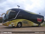 TransVivo Transportes e Turismo 2017 na cidade de Indaial, Santa Catarina, Brasil, por Reinaldo Gonçalves. ID da foto: :id.