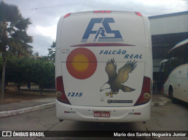 Falcão Real 1215 na cidade de Piritiba, Bahia, Brasil, por Mario dos Santos Nogueira Junior. Número da foto: #7212501.