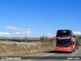 Albus  na cidade de Junín de los Andes, Huiliches, Neuquén, Argentina, por Felipe Catalán. Número da foto: #7213550.