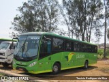Pássaro Verde 15137 na cidade de Ouro Preto, Minas Gerais, Brasil, por Tarcisio Rodrigues da Silva. Número da foto: #7215922.
