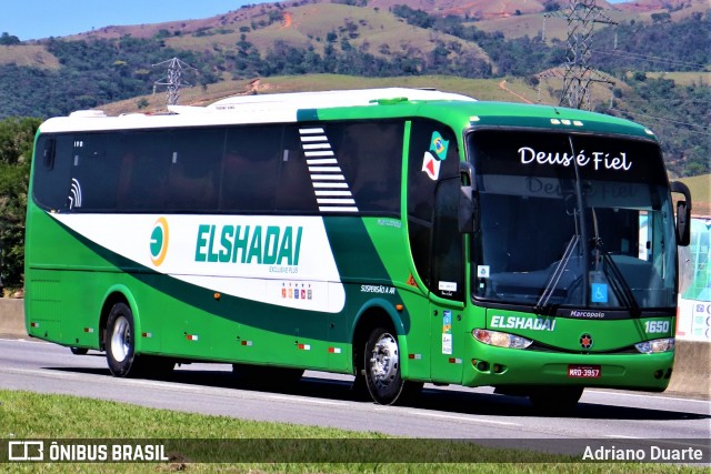 Elshadai Viagens 1650 na cidade de Roseira, São Paulo, Brasil, por Adriano Duarte. ID da foto: 7217261.