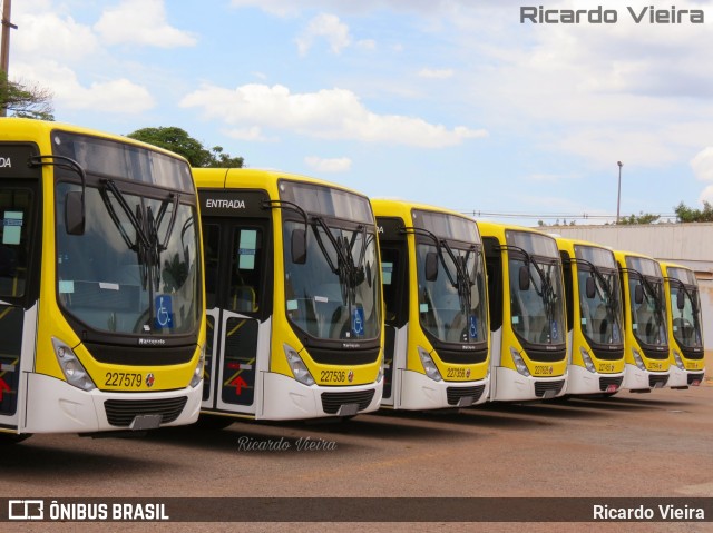 Viação Pioneira 227579 na cidade de Ceilândia, Distrito Federal, Brasil, por Ricardo Vieira. Número da foto: #7313408.