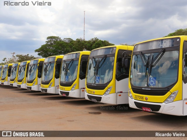 Viação Pioneira 227056 na cidade de Ceilândia, Distrito Federal, Brasil, por Ricardo Vieira. Número da foto: #7313413.