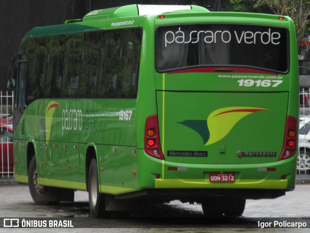 Pássaro Verde 19167 na cidade de Belo Horizonte, Minas Gerais, Brasil, por Igor Policarpo. Número da foto: #7316770.