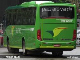 Pássaro Verde 19167 na cidade de Belo Horizonte, Minas Gerais, Brasil, por Igor Policarpo. Número da foto: #:id.