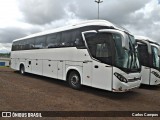 Mascarello  na cidade de Cascavel, Paraná, Brasil, por Carlos Campos. Número da foto: #7315012.