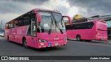 BIUSA 19 na cidade de La Uruca, San José, San José, Costa Rica, por Andrés Martínez Rodríguez. Número da foto: #7317892.